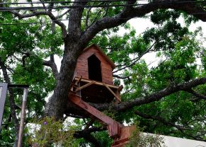 countryside adventures tree house