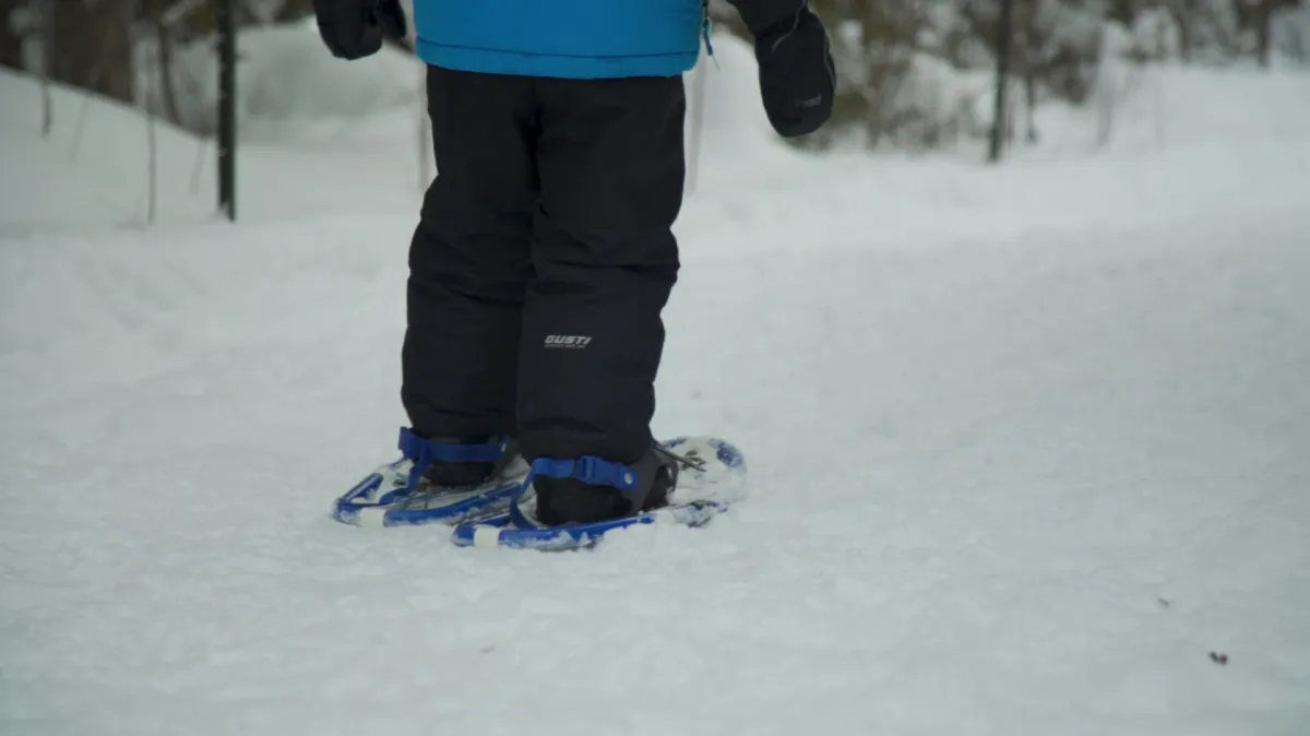 1JEGHqrgtNTZ19bdgACnyjB8PXvSY6_hKyLCi23mkU0